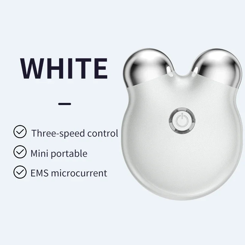 EMS Facial Massager Roller Microcurrent Face Lifting V-Face Roller Massage Machine Skin Rejuvenation Anti-Wrinkle Beauty Care